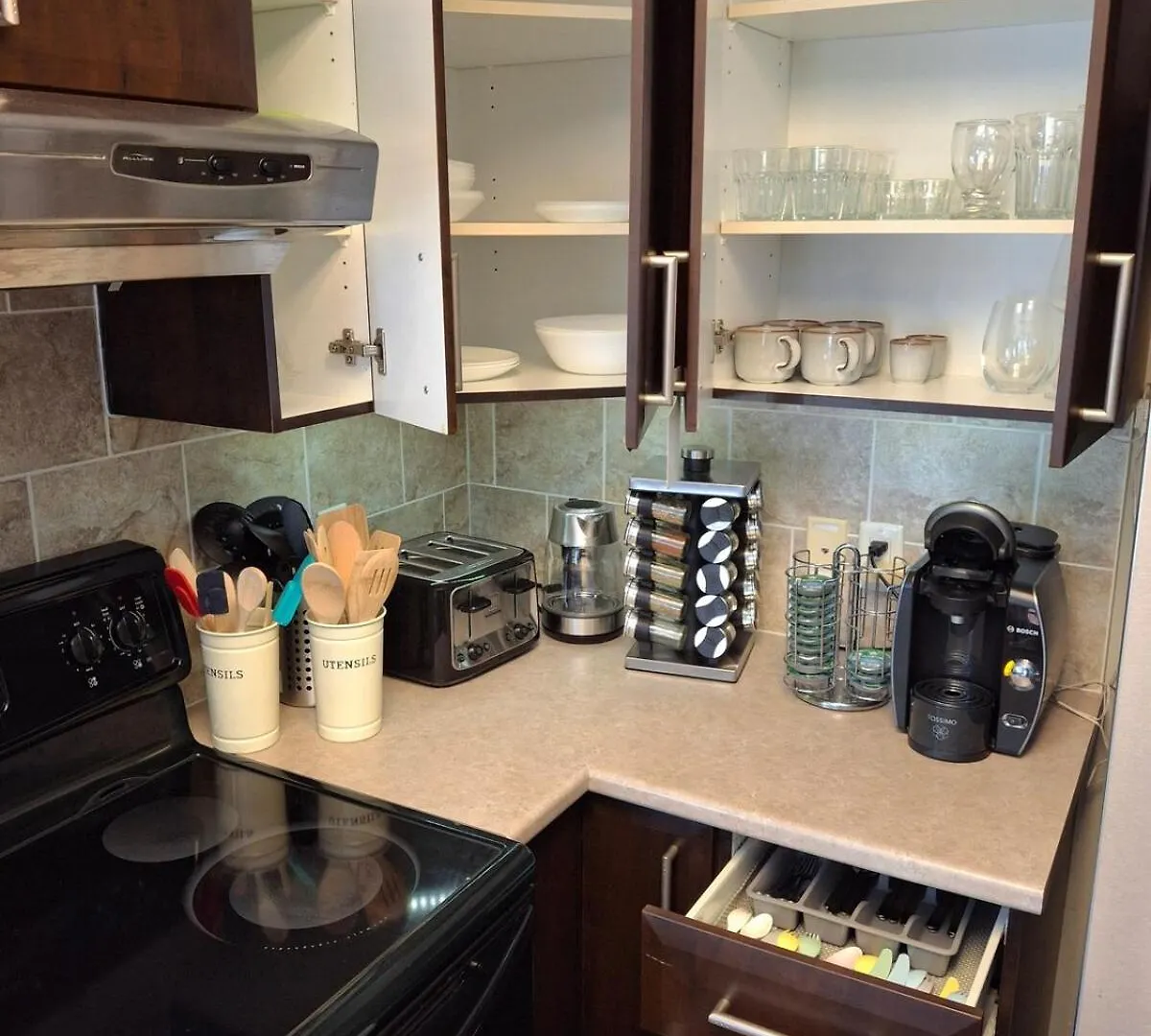 Daire Cozy Modern Condo 15 Mins From Dt With Free Parking Ottawa Kanada